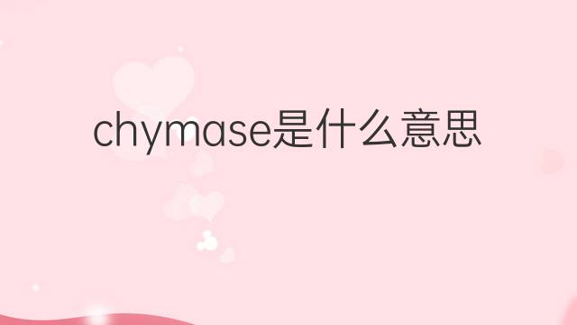chymase是什么意思 chymase的中文翻译、读音、例句