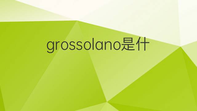 grossolano是什么意思 grossolano的中文翻译、读音、例句