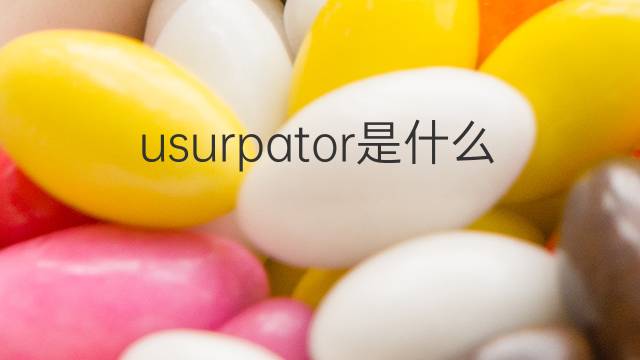 usurpator是什么意思 usurpator的中文翻译、读音、例句