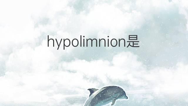 hypolimnion是什么意思 hypolimnion的中文翻译、读音、例句