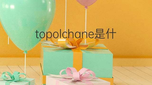 topolchane是什么意思 topolchane的中文翻译、读音、例句