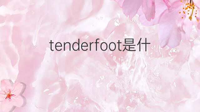 tenderfoot是什么意思 tenderfoot的中文翻译、读音、例句