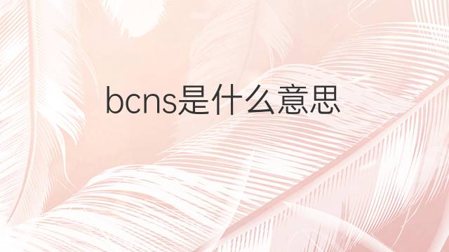 bcns是什么意思 bcns的中文翻译、读音、例句