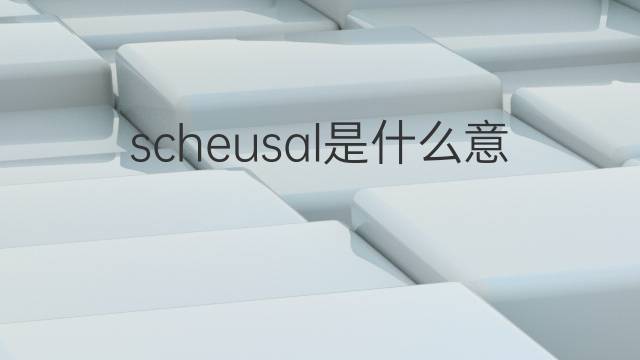 scheusal是什么意思 scheusal的中文翻译、读音、例句