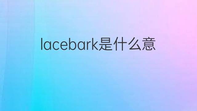 lacebark是什么意思 lacebark的中文翻译、读音、例句