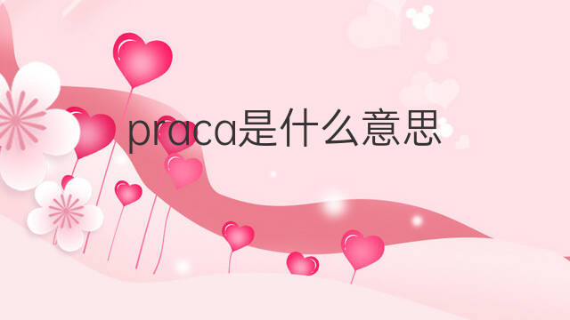 praca是什么意思 praca的中文翻译、读音、例句