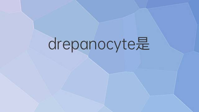 drepanocyte是什么意思 drepanocyte的中文翻译、读音、例句