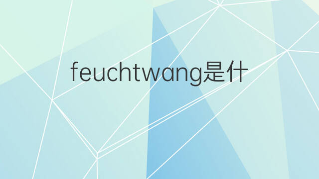 feuchtwang是什么意思 feuchtwang的中文翻译、读音、例句