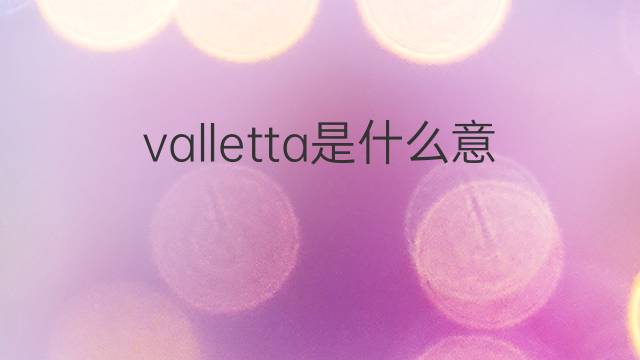 valletta是什么意思 英文名valletta的翻译、发音、来源