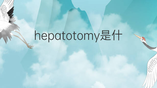hepatotomy是什么意思 hepatotomy的中文翻译、读音、例句