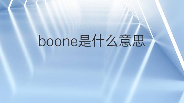 boone是什么意思 boone的中文翻译、读音、例句