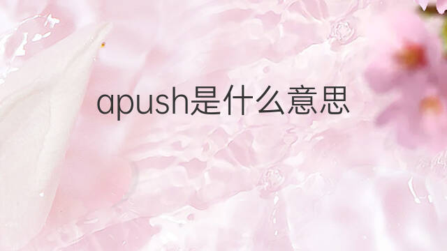 apush是什么意思 apush的中文翻译、读音、例句