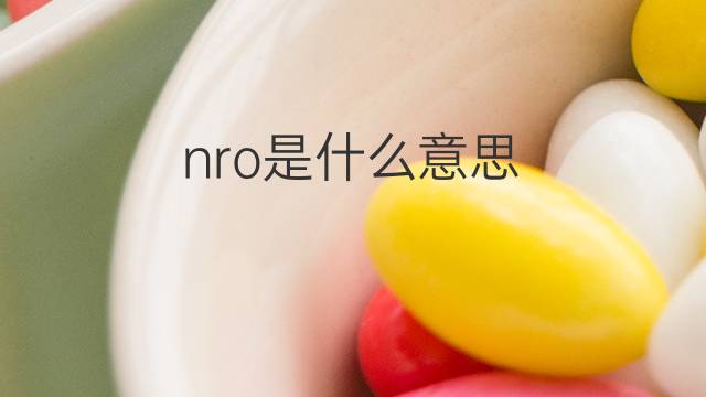 nro是什么意思 nro的中文翻译、读音、例句