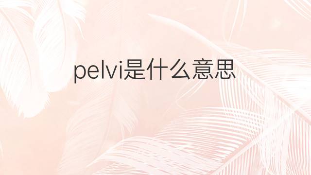 pelvi是什么意思 pelvi的中文翻译、读音、例句