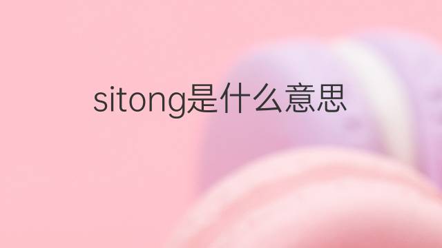 sitong是什么意思 sitong的中文翻译、读音、例句