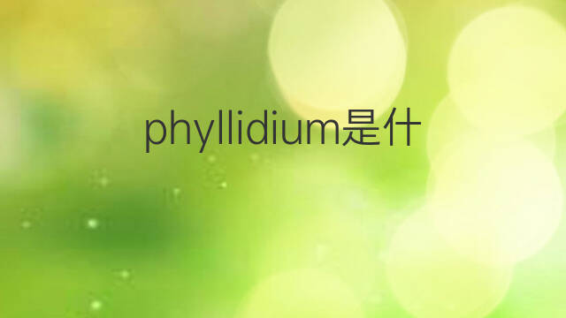 phyllidium是什么意思 phyllidium的中文翻译、读音、例句