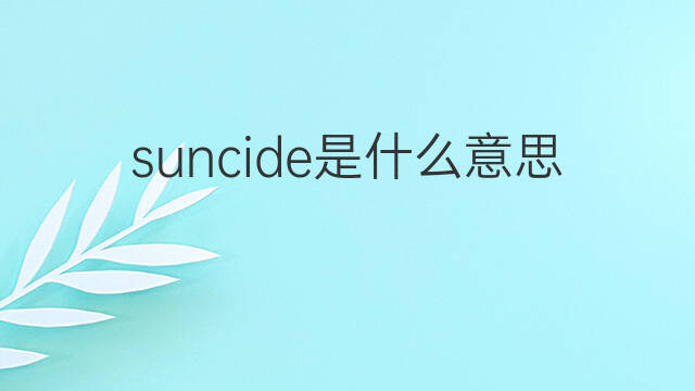 suncide是什么意思 suncide的中文翻译、读音、例句