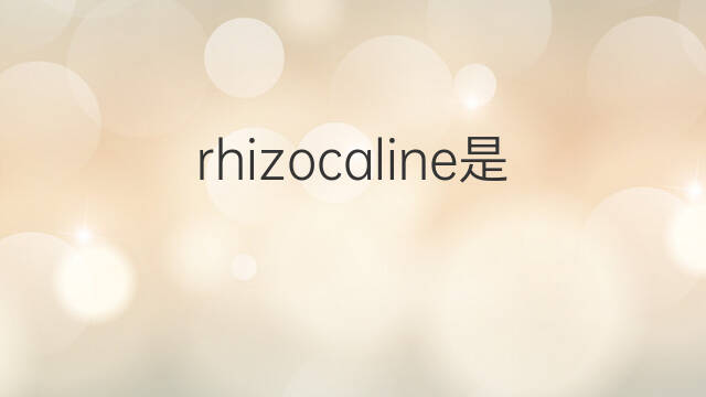 rhizocaline是什么意思 rhizocaline的中文翻译、读音、例句