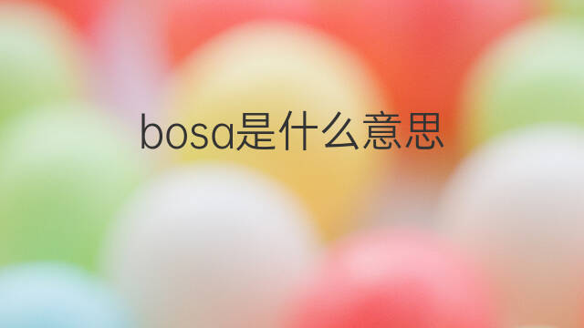 bosa是什么意思 bosa的中文翻译、读音、例句