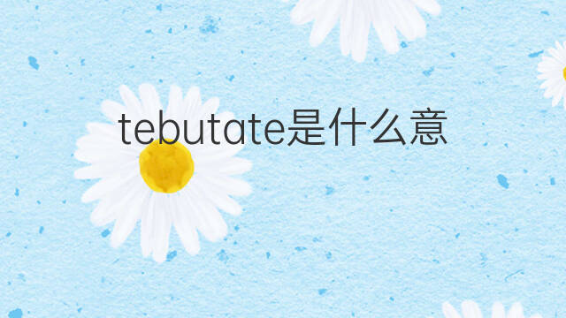 tebutate是什么意思 tebutate的中文翻译、读音、例句