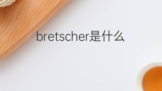 bretscher是什么意思 bretscher的中文翻译、读音、例句