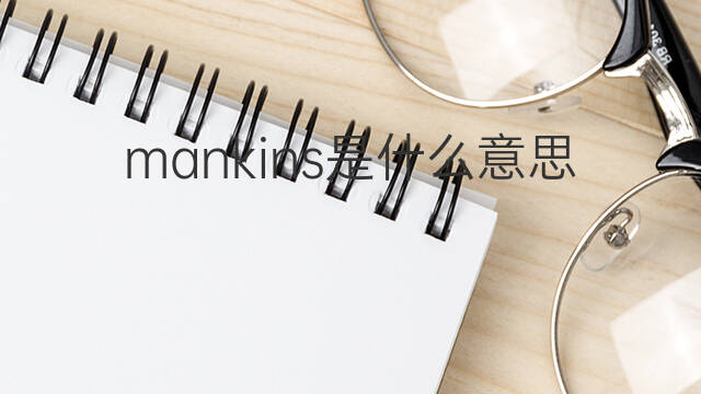 mankins是什么意思 mankins的中文翻译、读音、例句