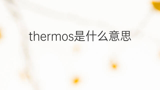 thermos是什么意思 thermos的中文翻译、读音、例句