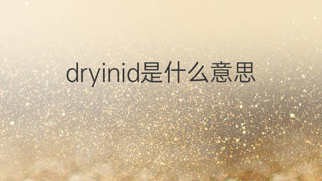dryinid是什么意思 dryinid的中文翻译、读音、例句