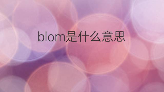 blom是什么意思 英文名blom的翻译、发音、来源