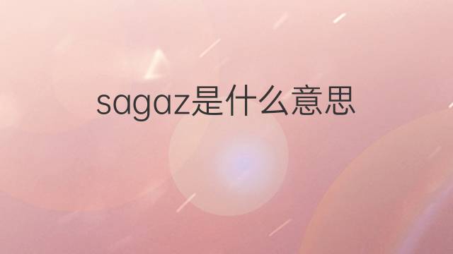 sagaz是什么意思 sagaz的中文翻译、读音、例句