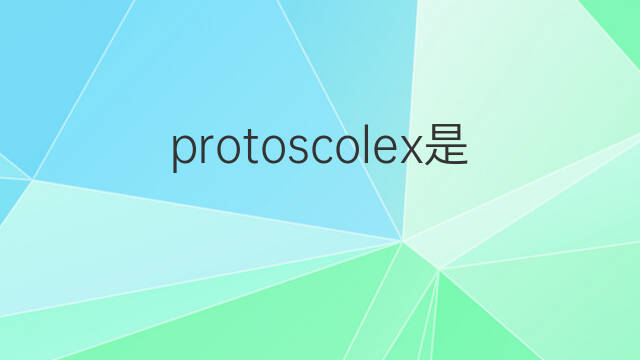 protoscolex是什么意思 protoscolex的中文翻译、读音、例句