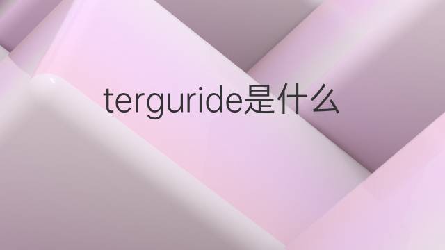 terguride是什么意思 terguride的中文翻译、读音、例句