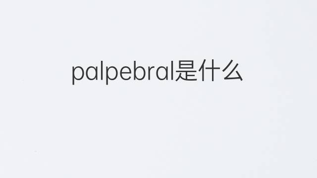 palpebral是什么意思 palpebral的中文翻译、读音、例句