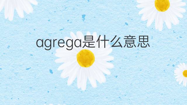 agrega是什么意思 agrega的中文翻译、读音、例句