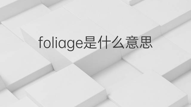 foliage是什么意思 foliage的中文翻译、读音、例句