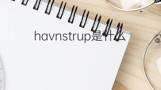havnstrup是什么意思 havnstrup的中文翻译、读音、例句