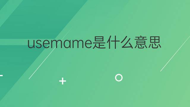 usemame是什么意思 usemame的中文翻译、读音、例句