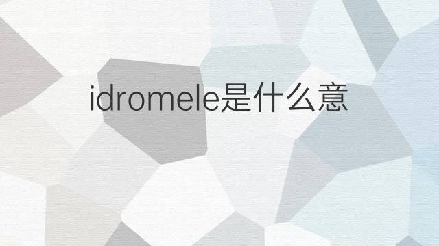idromele是什么意思 idromele的中文翻译、读音、例句
