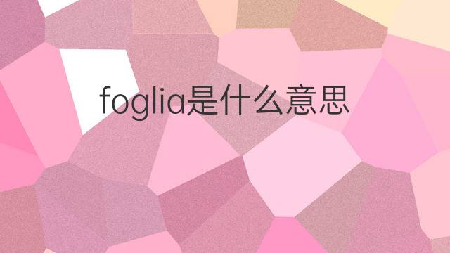 foglia是什么意思 foglia的中文翻译、读音、例句