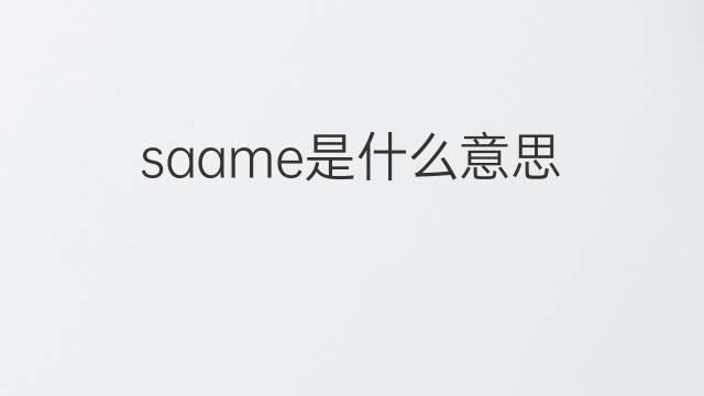saame是什么意思 saame的中文翻译、读音、例句