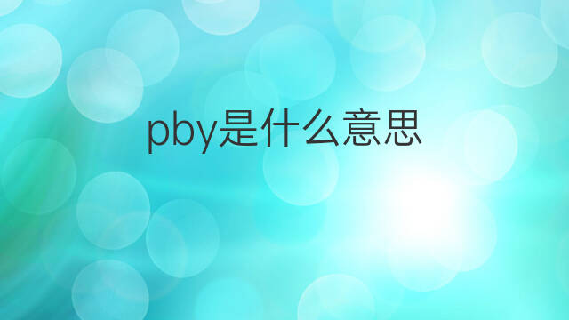 pby是什么意思 pby的中文翻译、读音、例句