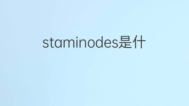 staminodes是什么意思 staminodes的中文翻译、读音、例句