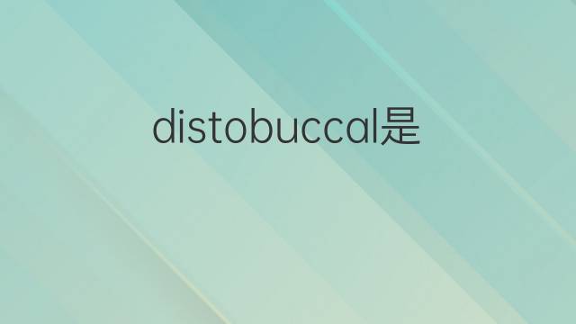 distobuccal是什么意思 distobuccal的中文翻译、读音、例句
