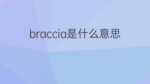 braccia是什么意思 braccia的中文翻译、读音、例句
