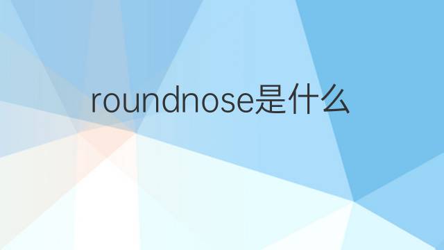 roundnose是什么意思 roundnose的中文翻译、读音、例句