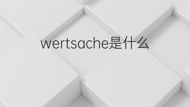 wertsache是什么意思 wertsache的中文翻译、读音、例句