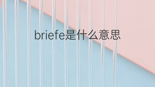 briefe是什么意思 briefe的中文翻译、读音、例句