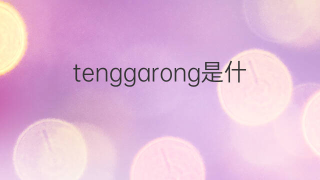 tenggarong是什么意思 tenggarong的中文翻译、读音、例句