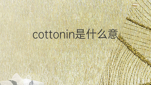 cottonin是什么意思 cottonin的中文翻译、读音、例句