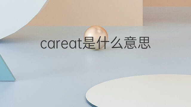 careat是什么意思 careat的中文翻译、读音、例句